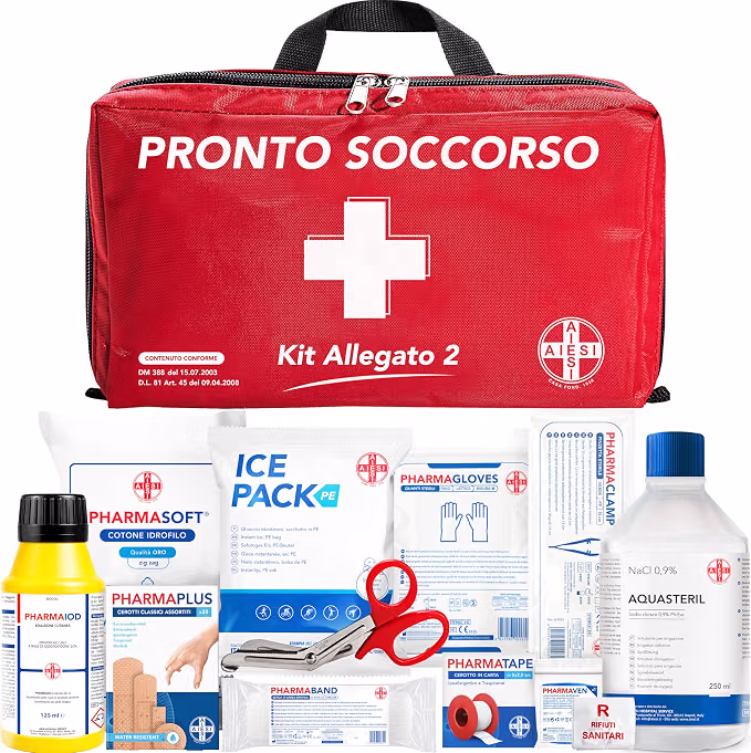 Cassetta medica allegato 2